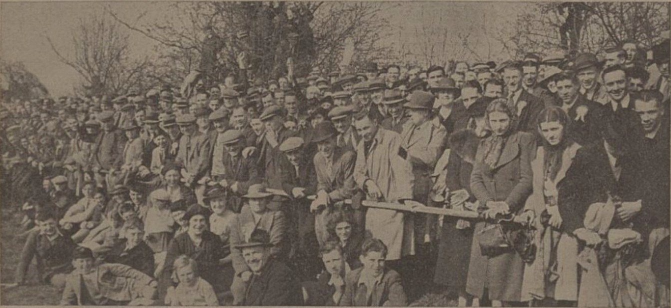 Fans at a match